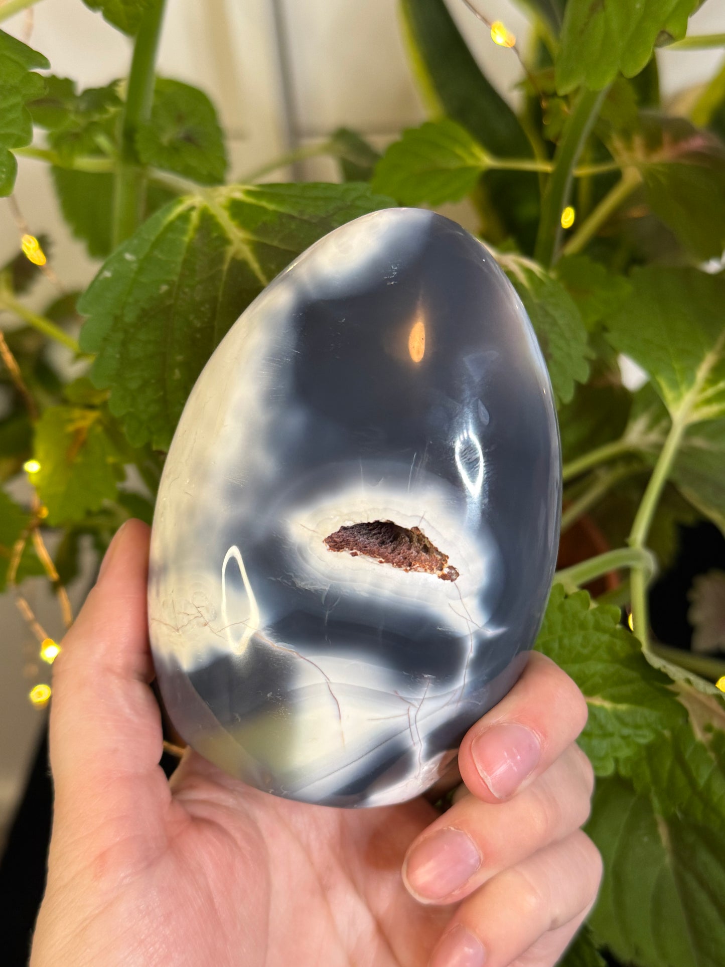 Orca Agate Freeform B