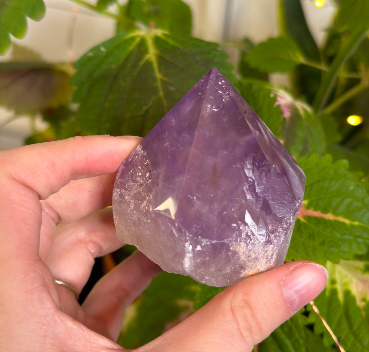 Amethyst Half Polished Point E