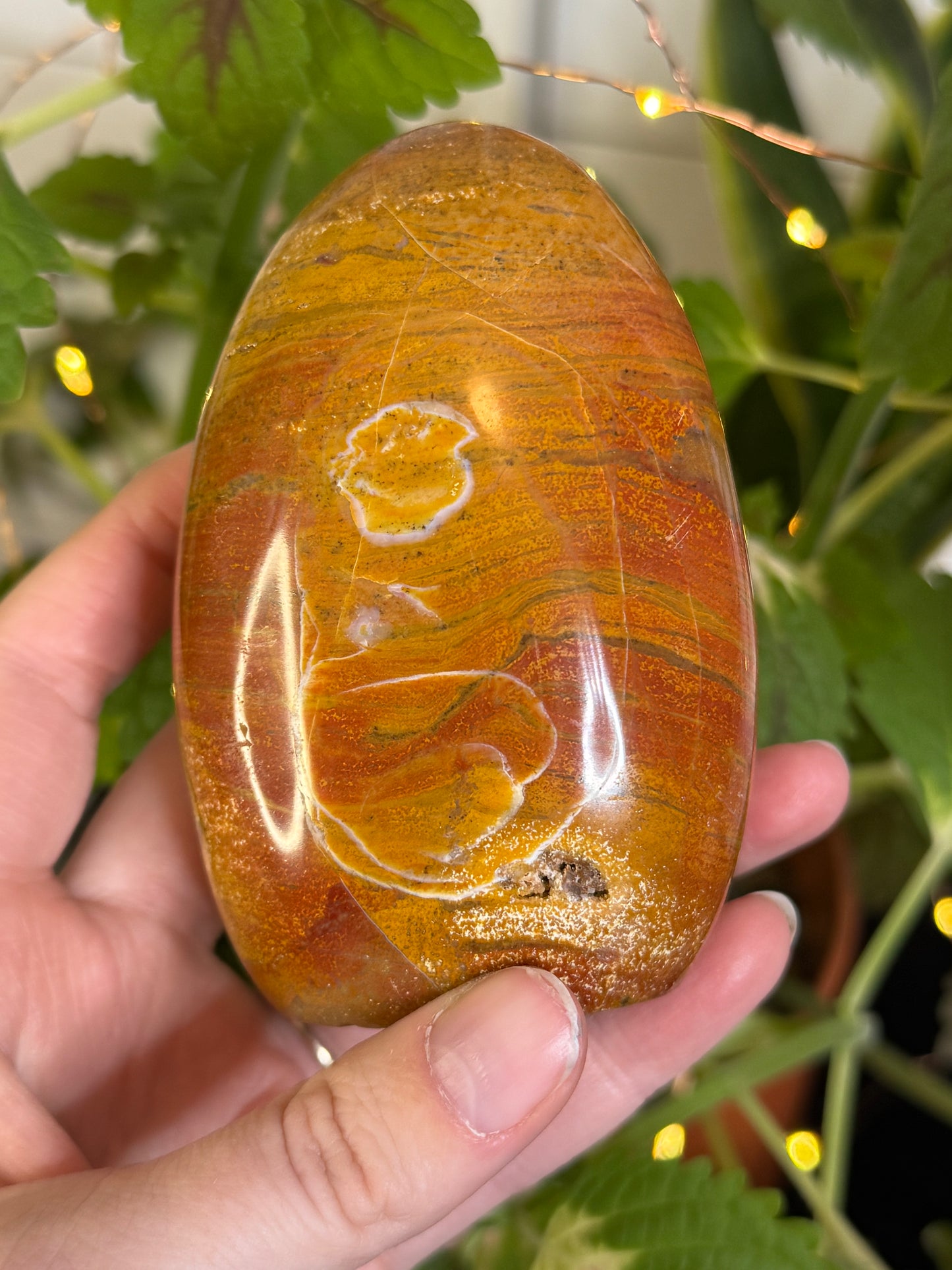 Ocean Jasper Freeform A
