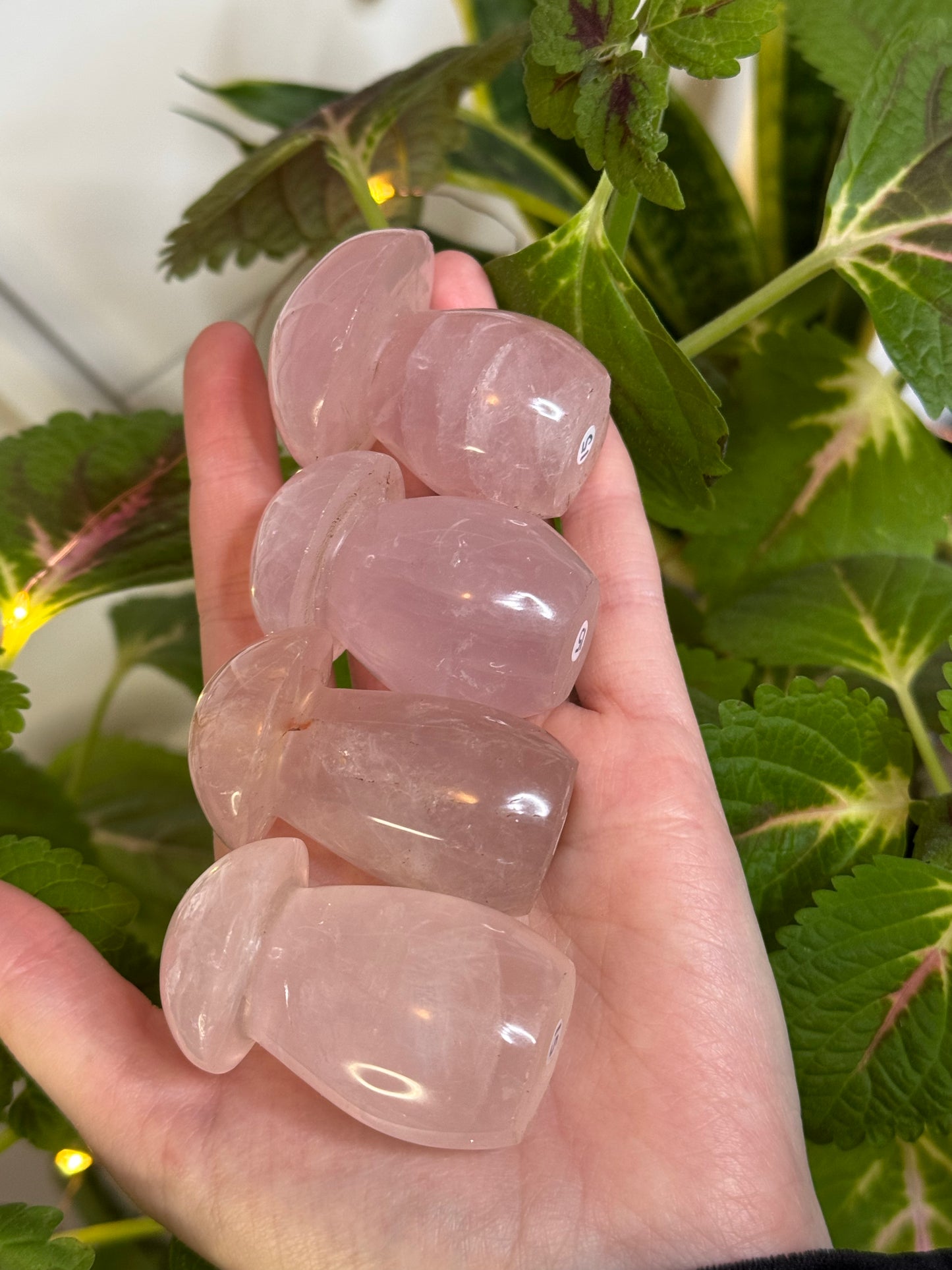 Rose Quartz Mushie
