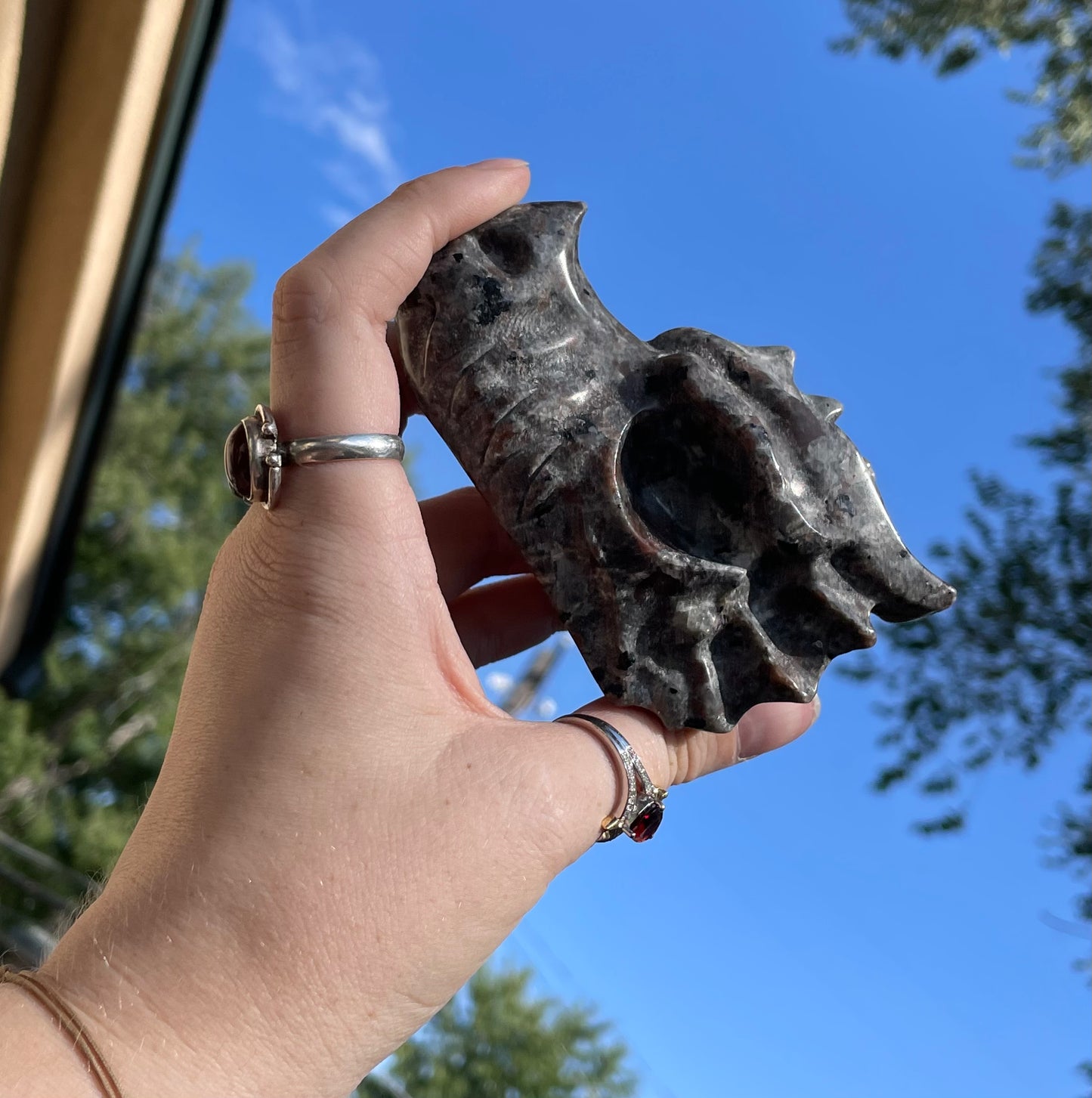 Yooperlite Dragon Head
