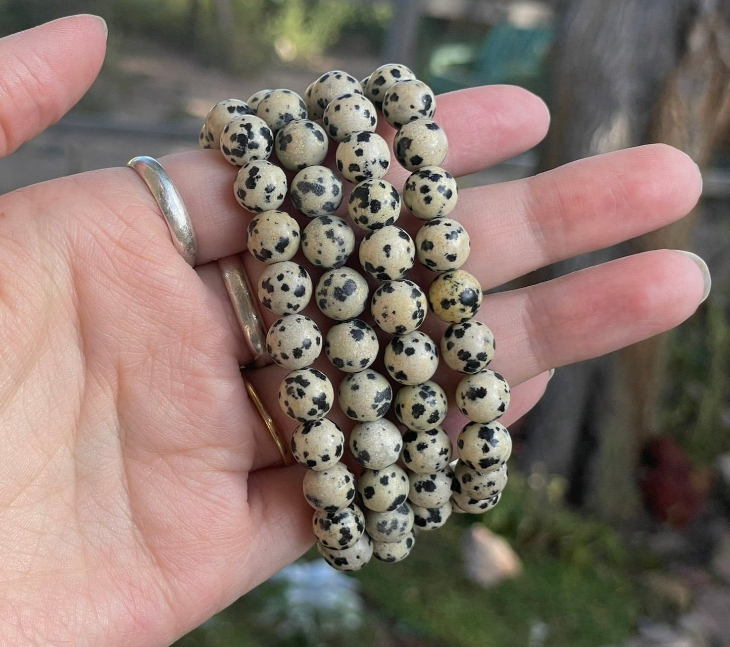 Dalmatian Jasper Bracelet 8mm