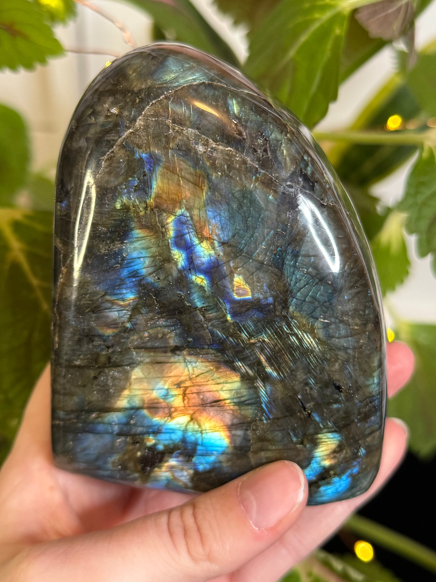 Labradorite Freeform A