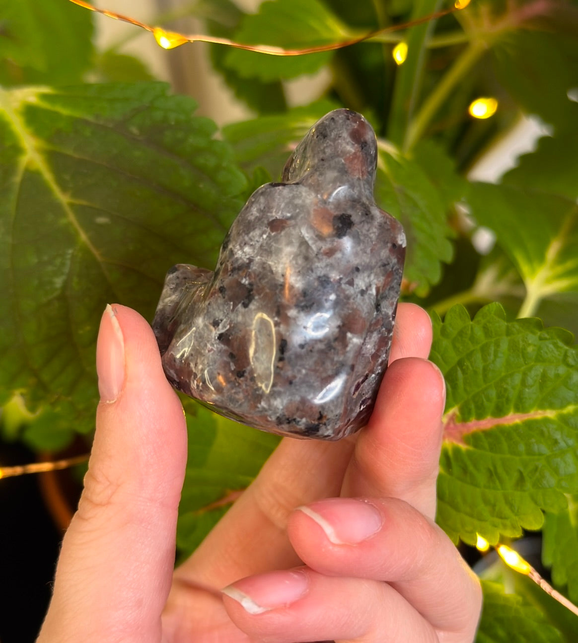 Yooperlite Suriel- Medium