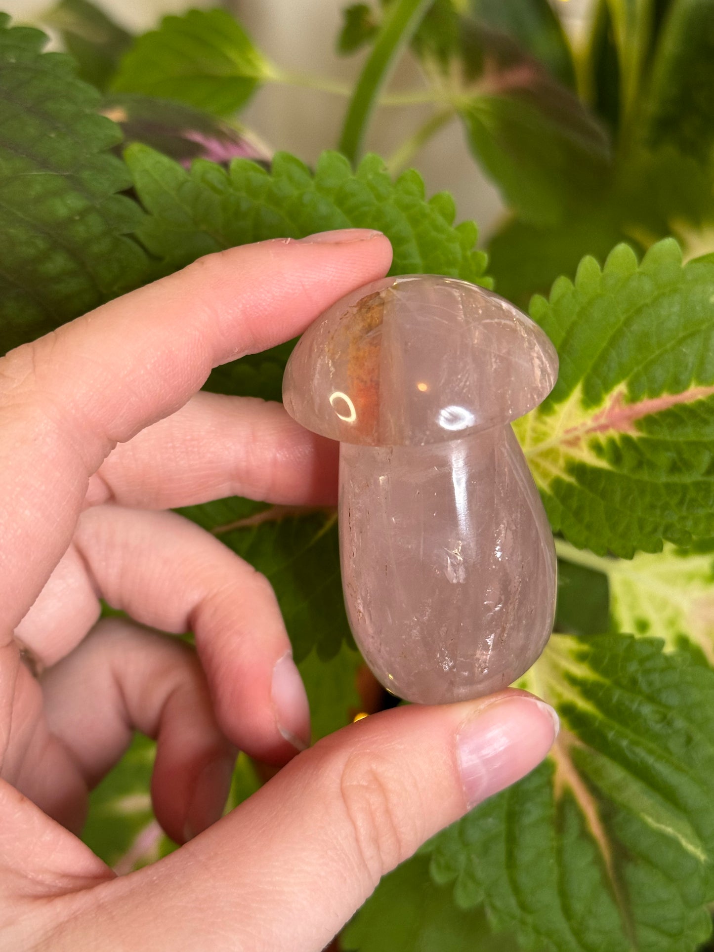 Rose Quartz Mushie