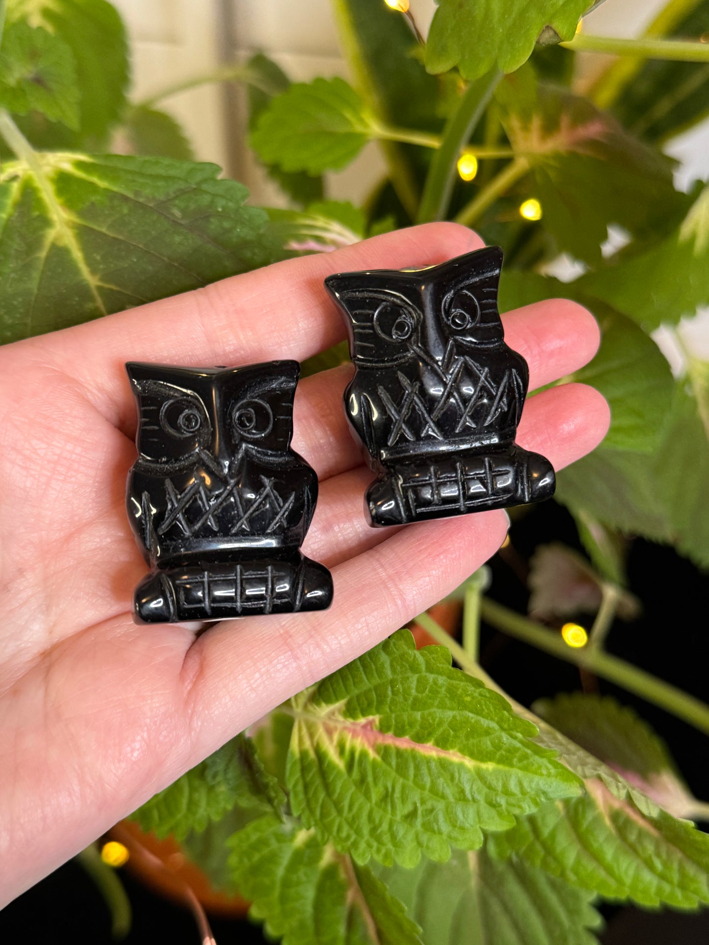 Obsidian Owl