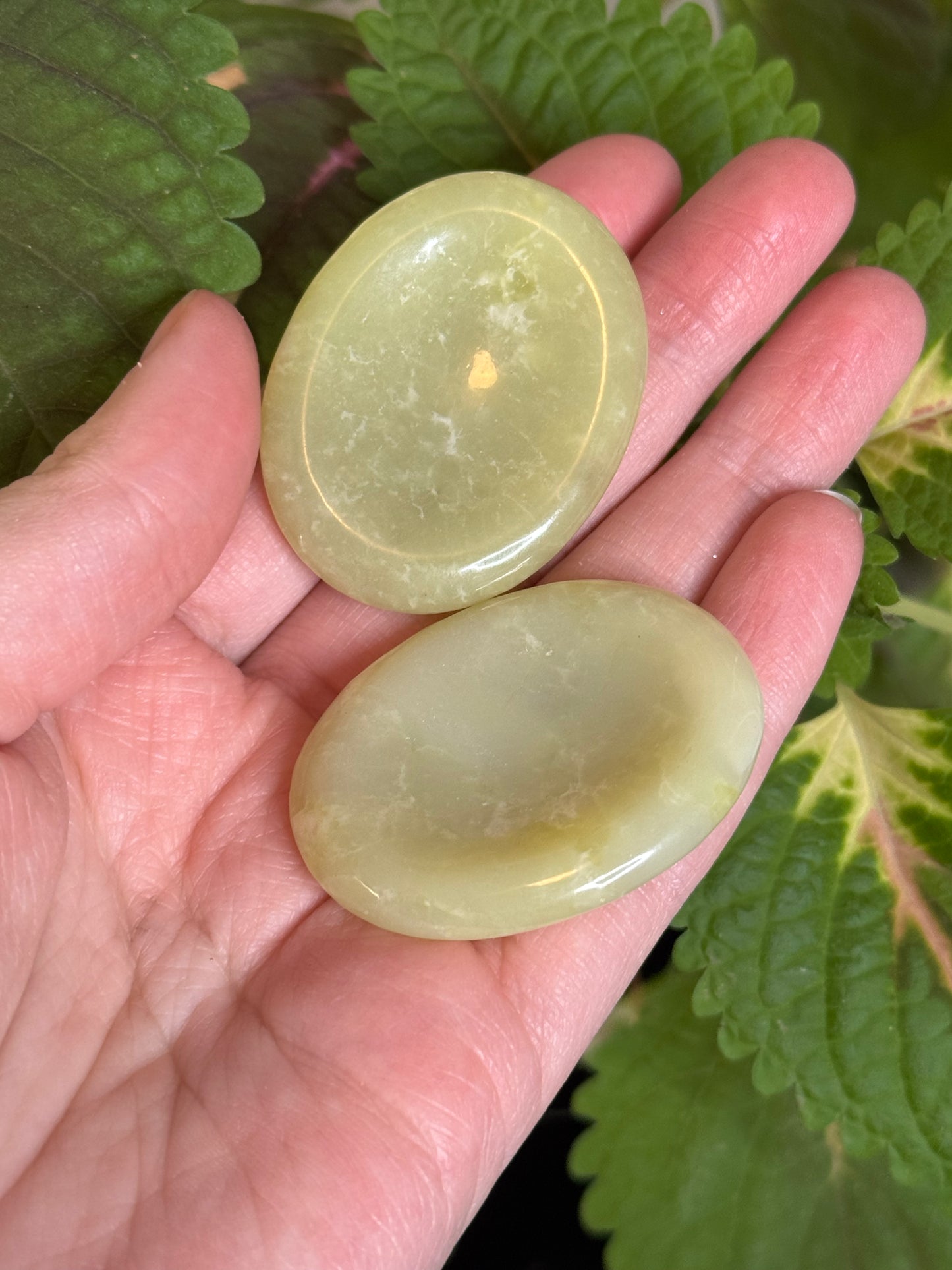 Serpentine Worry Stone