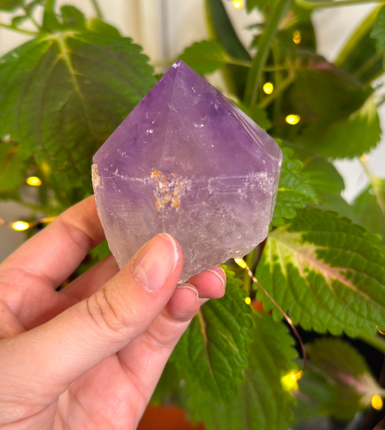 Amethyst Half Polished Point C