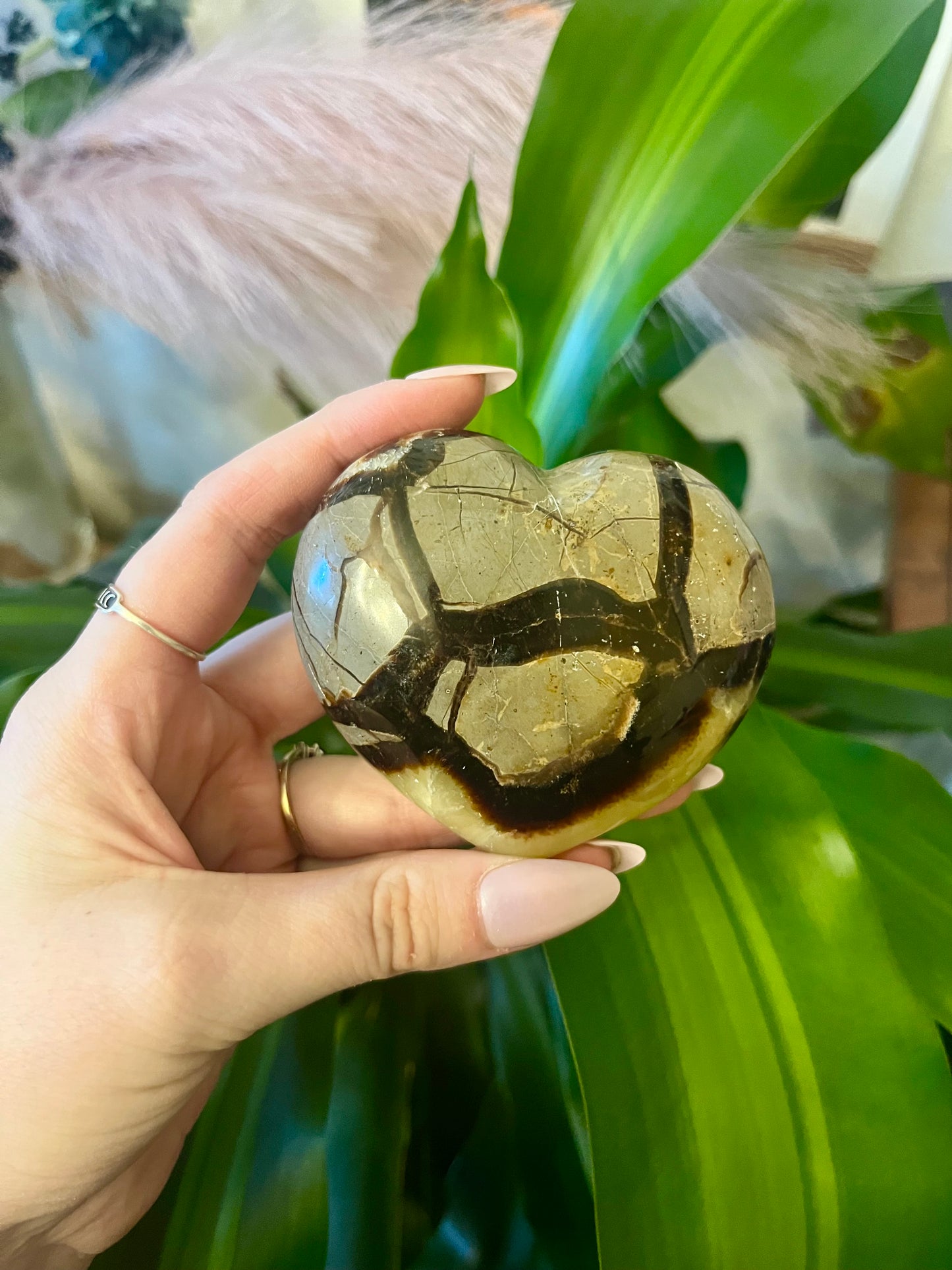 Septarian Heart