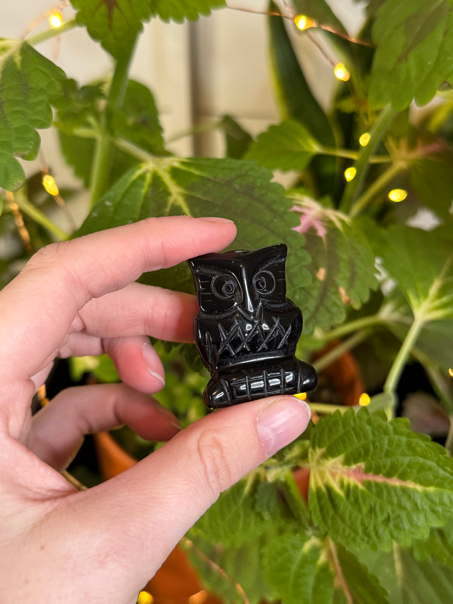 Obsidian Owl