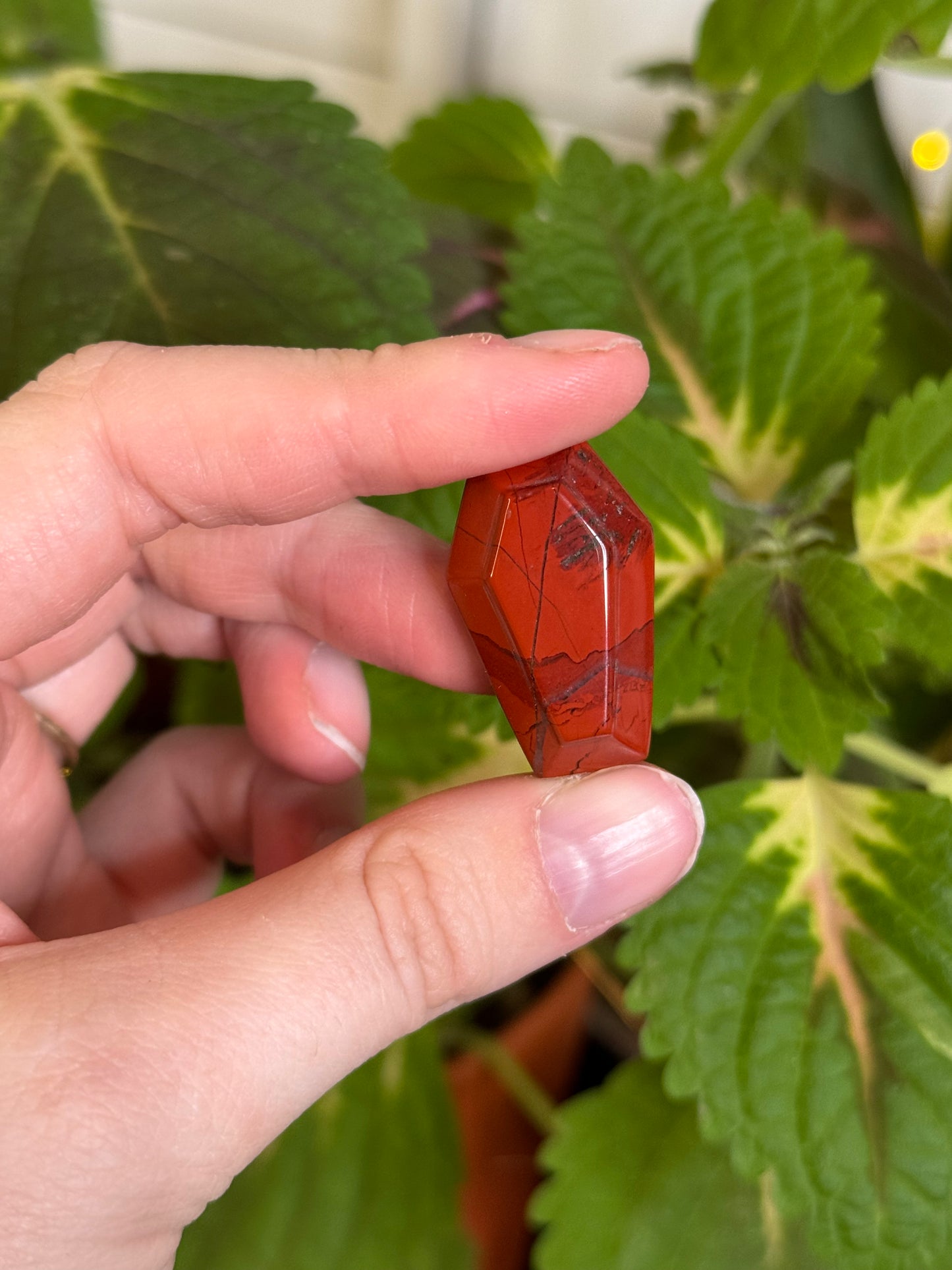 Red Jasper Coffin