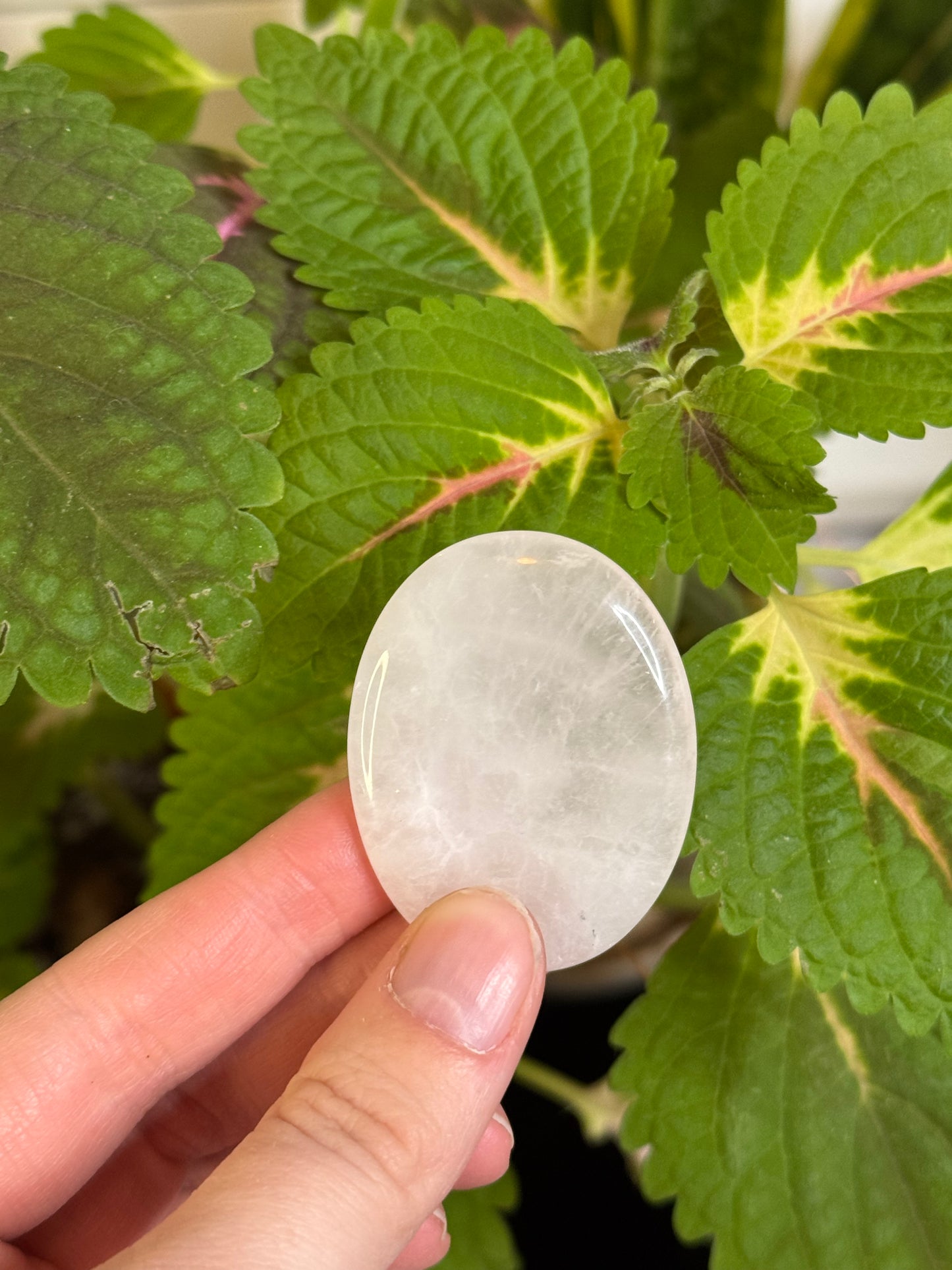 Rose Quartz Worry Stone