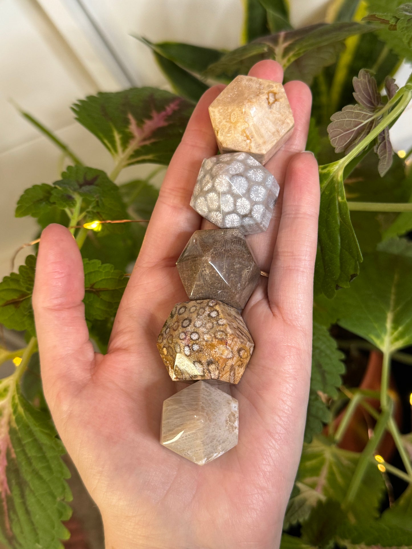 Fossilized Coral Mini Tower