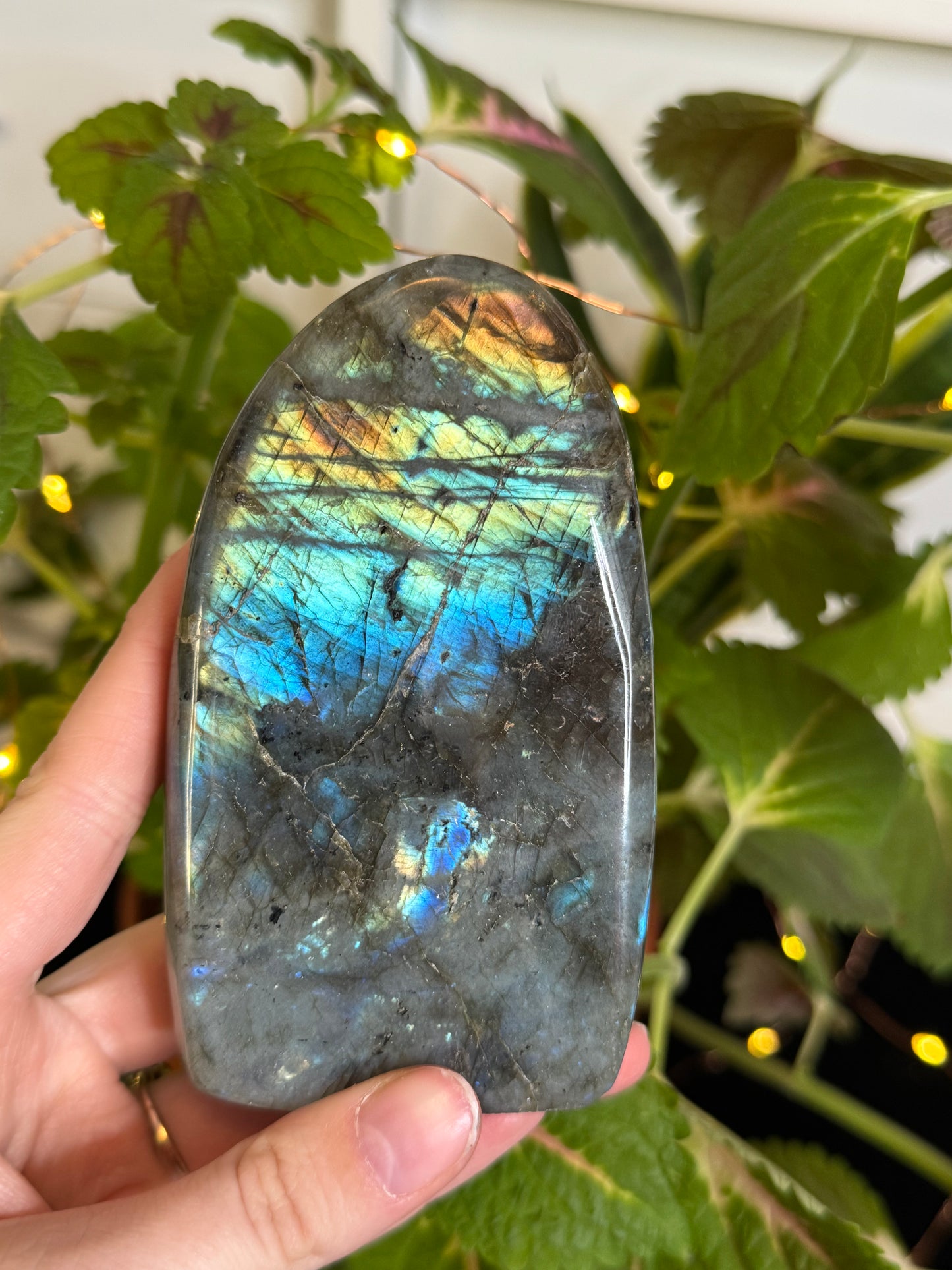 Labradorite Freeform D
