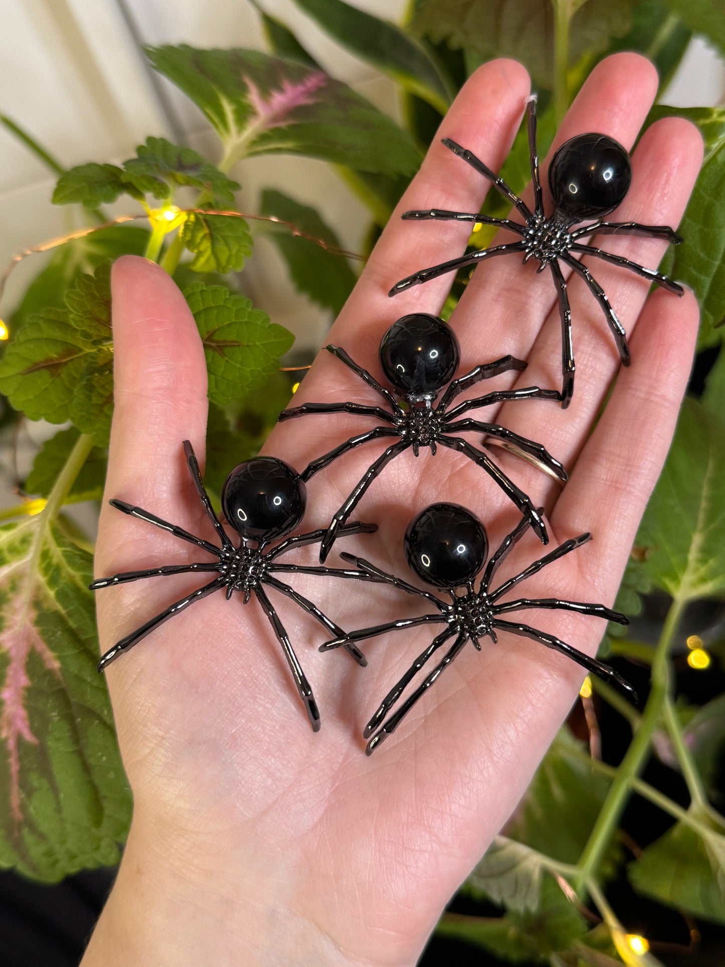 Obsidian Spider