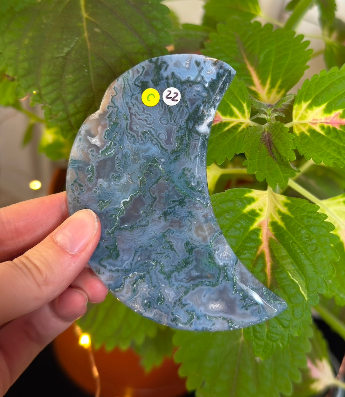 Moss Agate Moon C