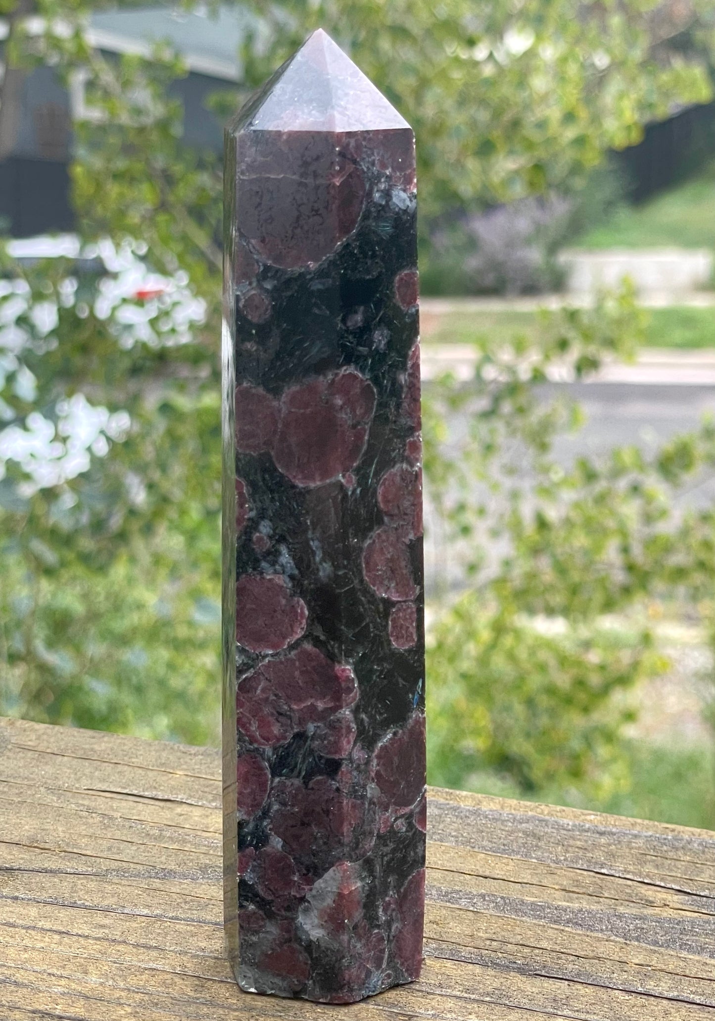 Garnet in Astrophyllite Tower
