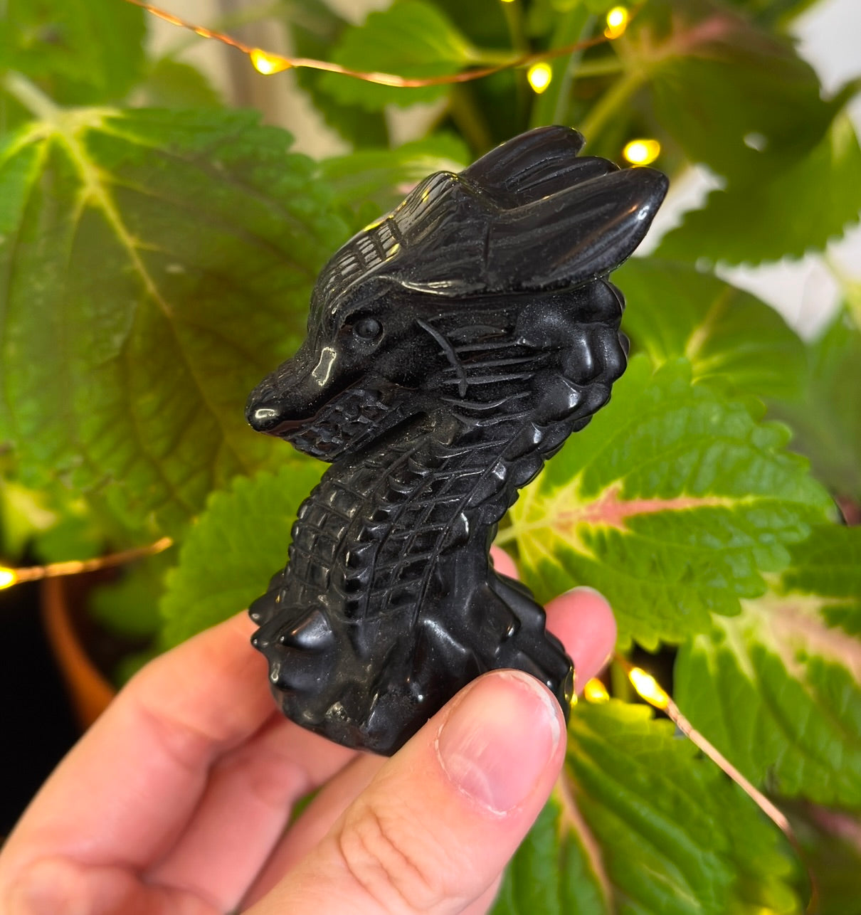 Obsidian Dragon Heads