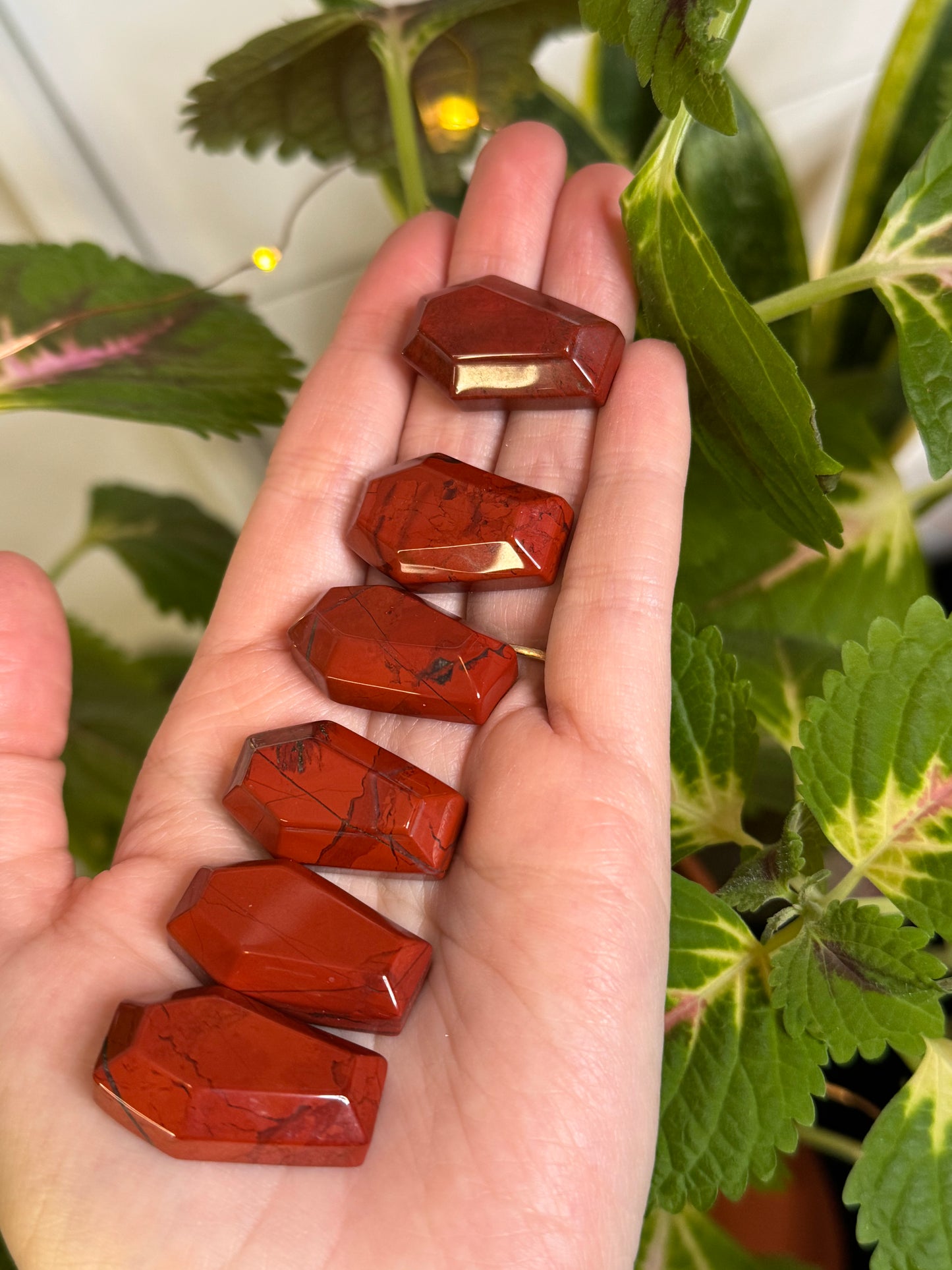 Red Jasper Coffin