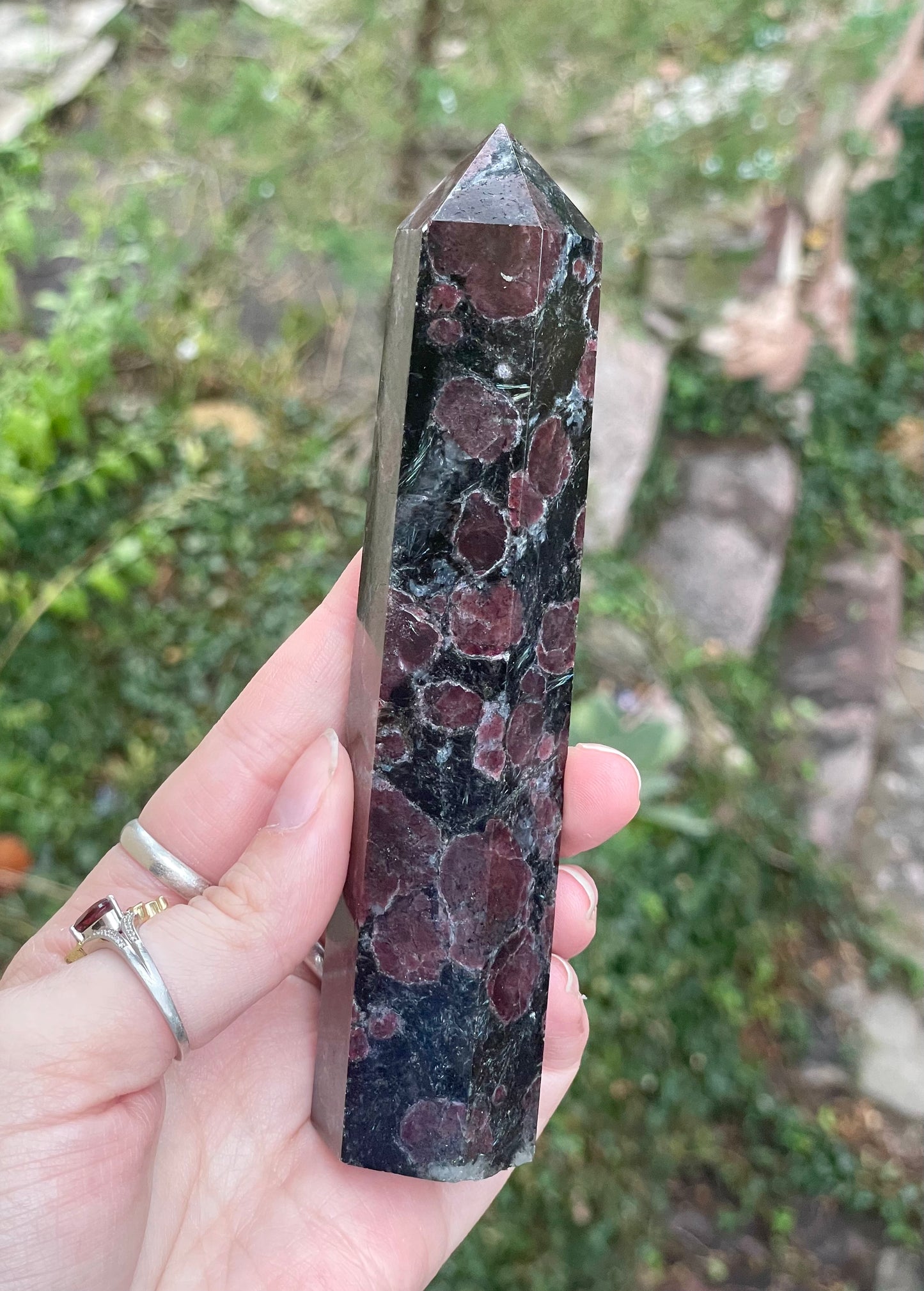 Garnet in Astrophyllite Tower