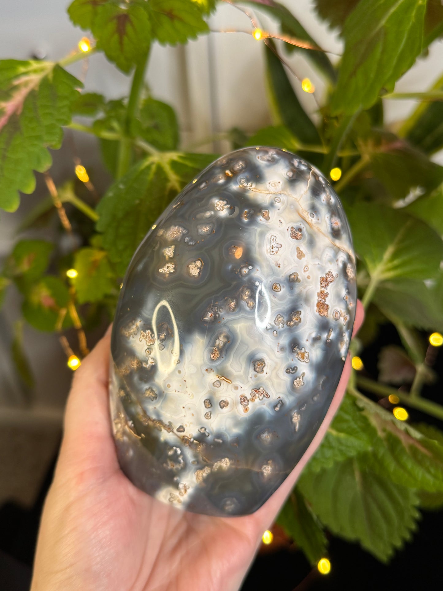 Orca Agate Freeform A