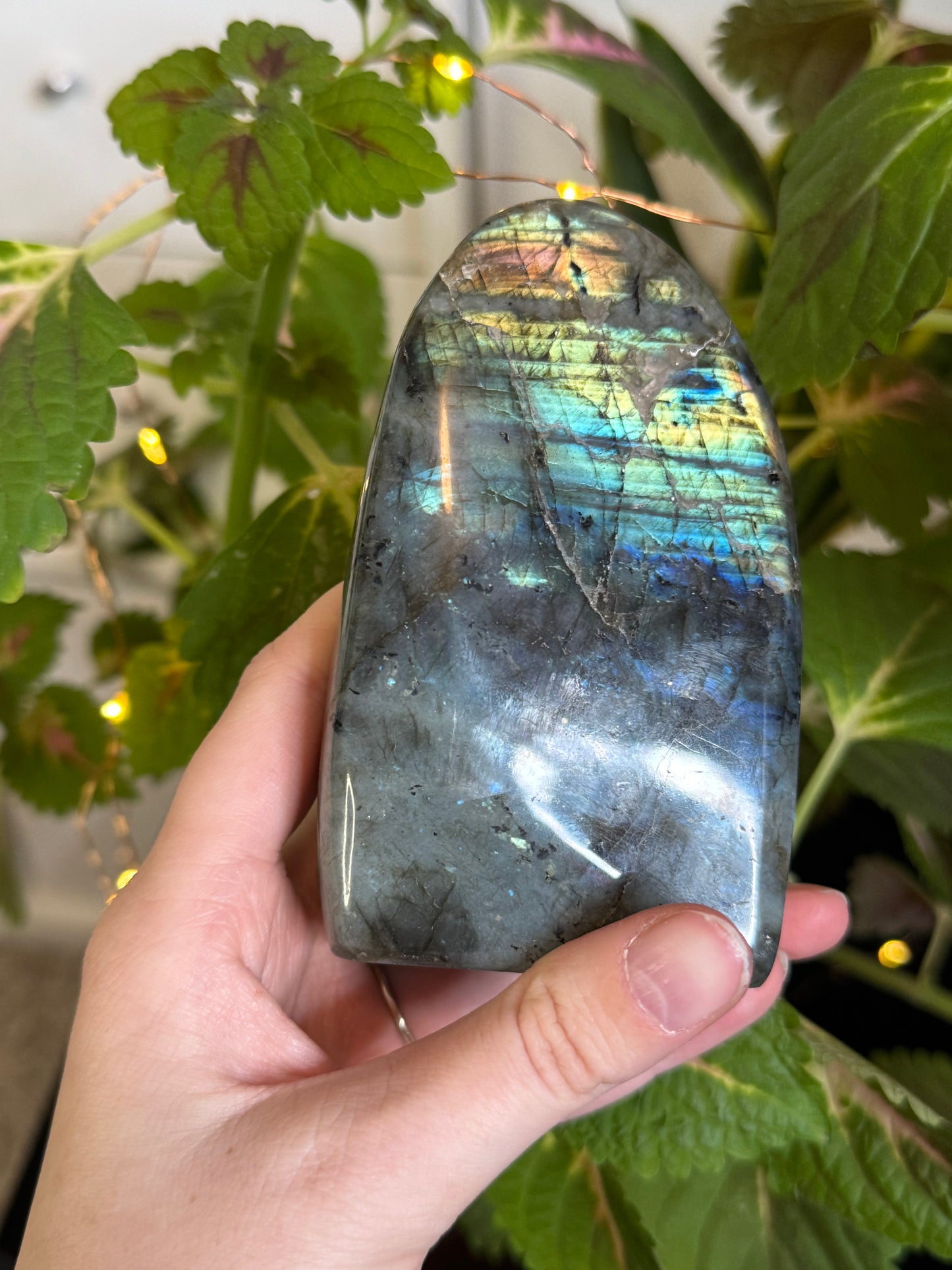 Labradorite Freeform D