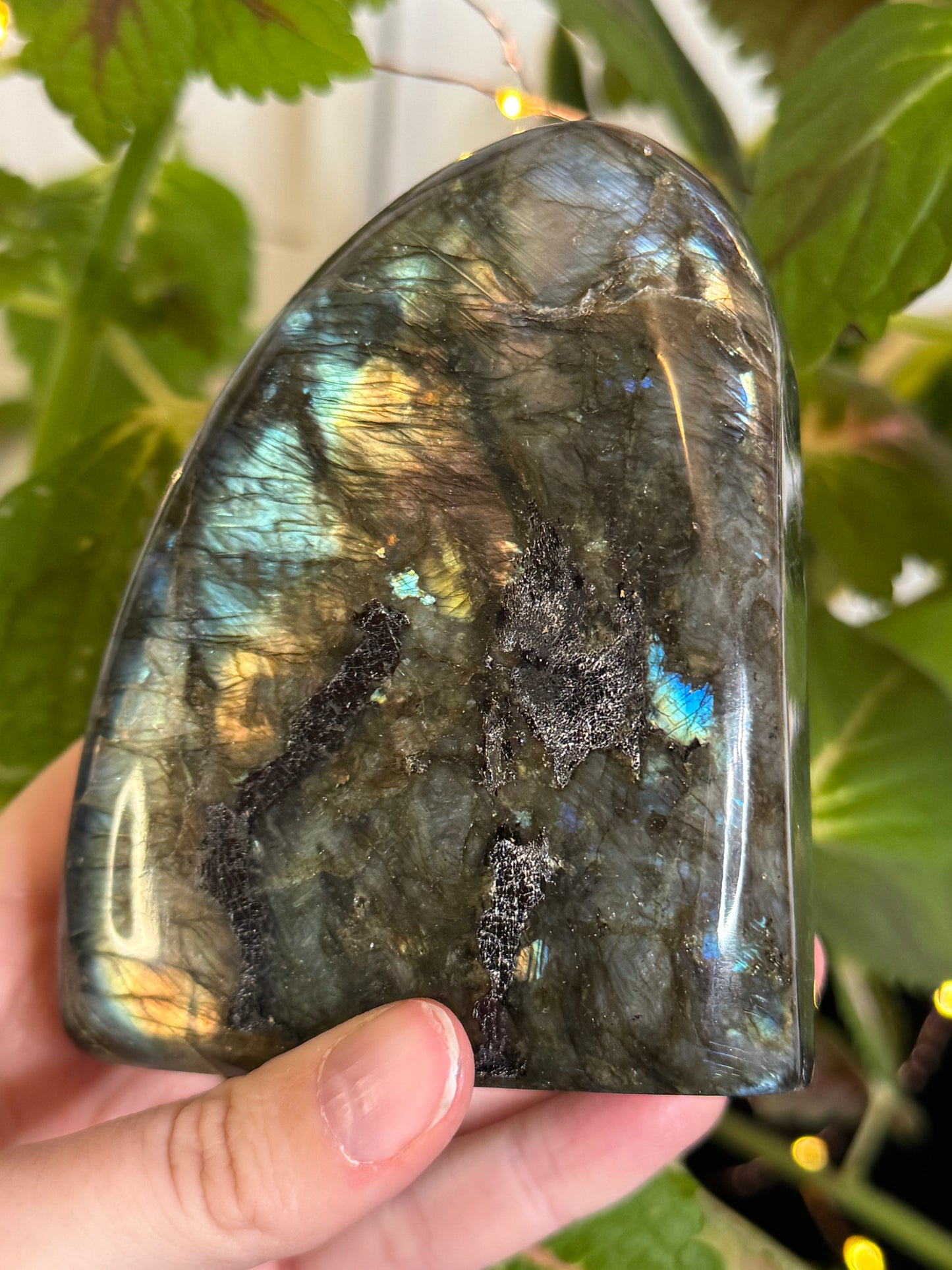 Labradorite Freeform A