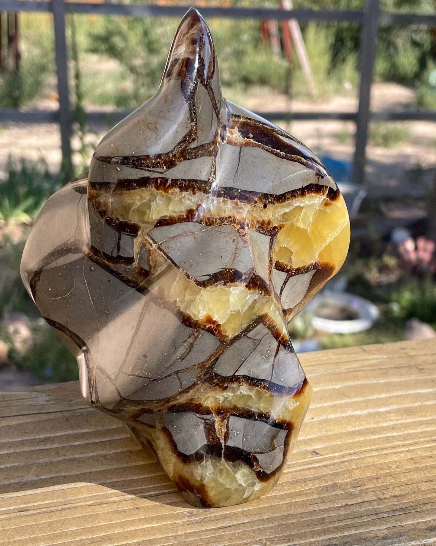 Septarian Flame- Anjela