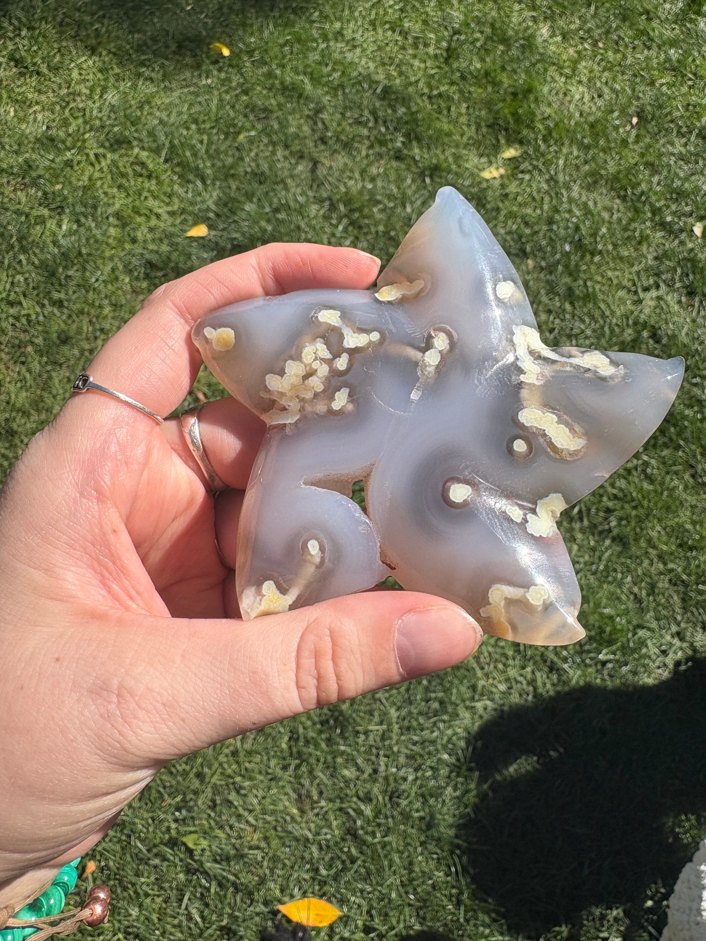 Druzy Agate Sea Star A