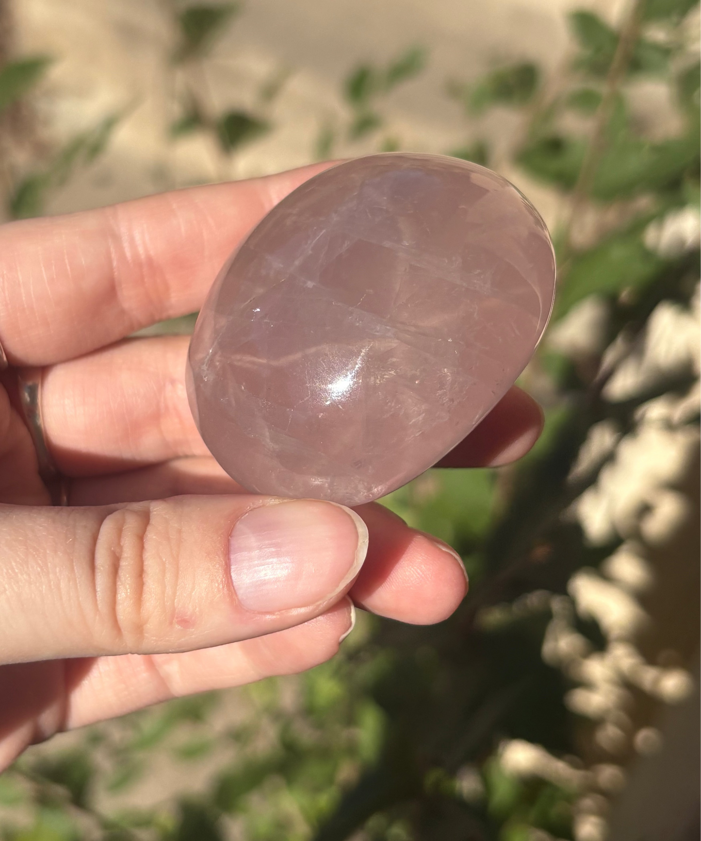 Rose Quartz Palm Stone