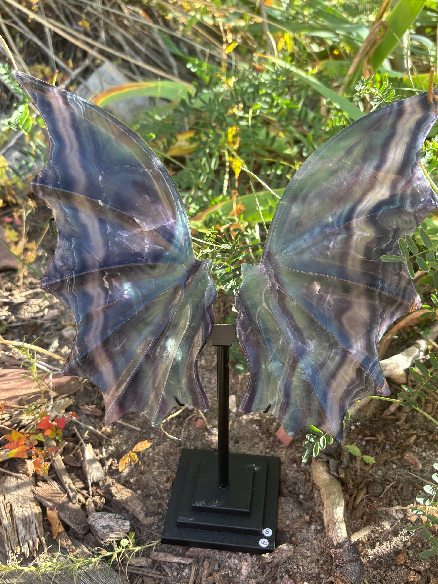 Fluorite Dragon Wings