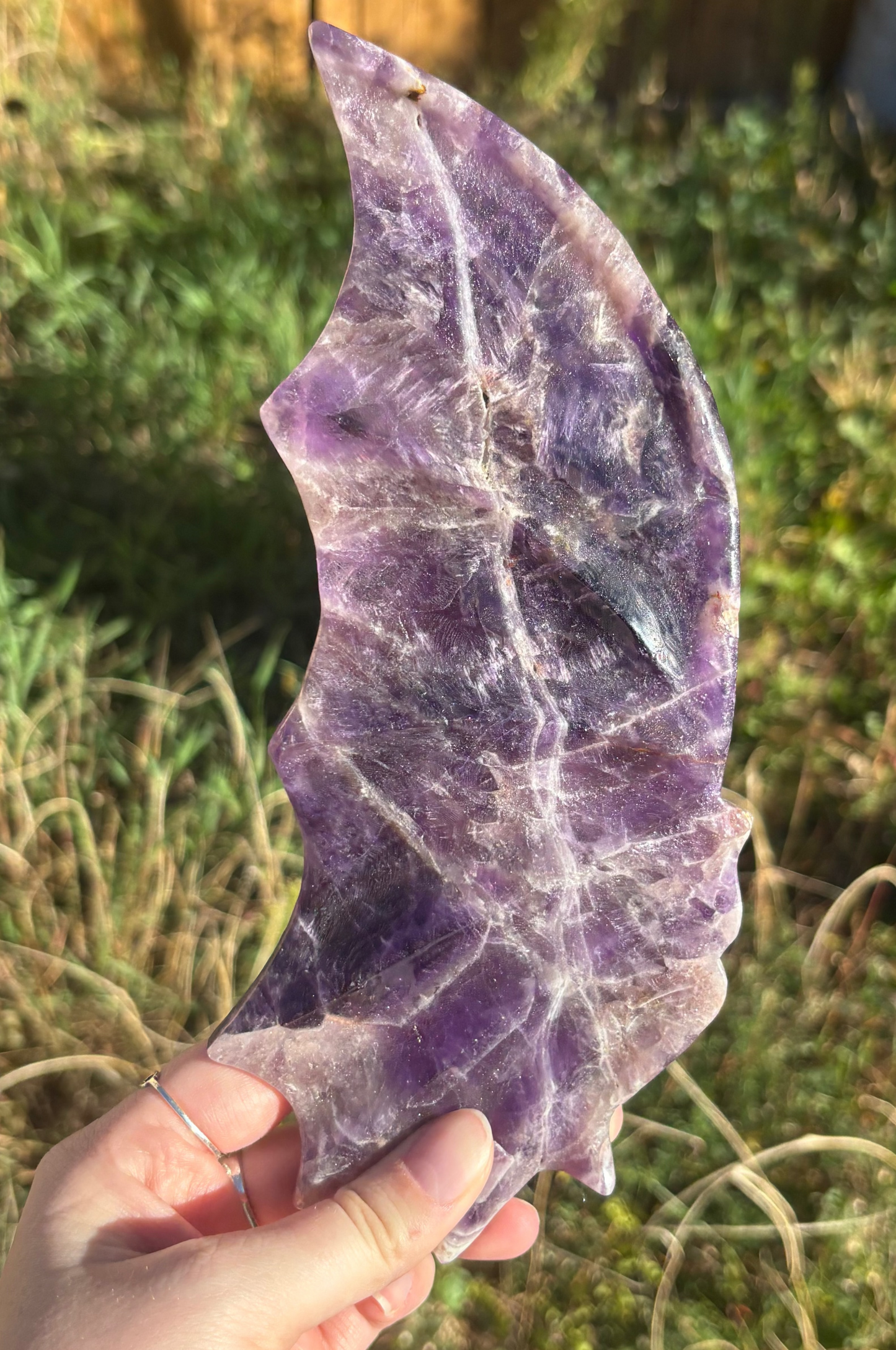 Amethyst Dragon Wings