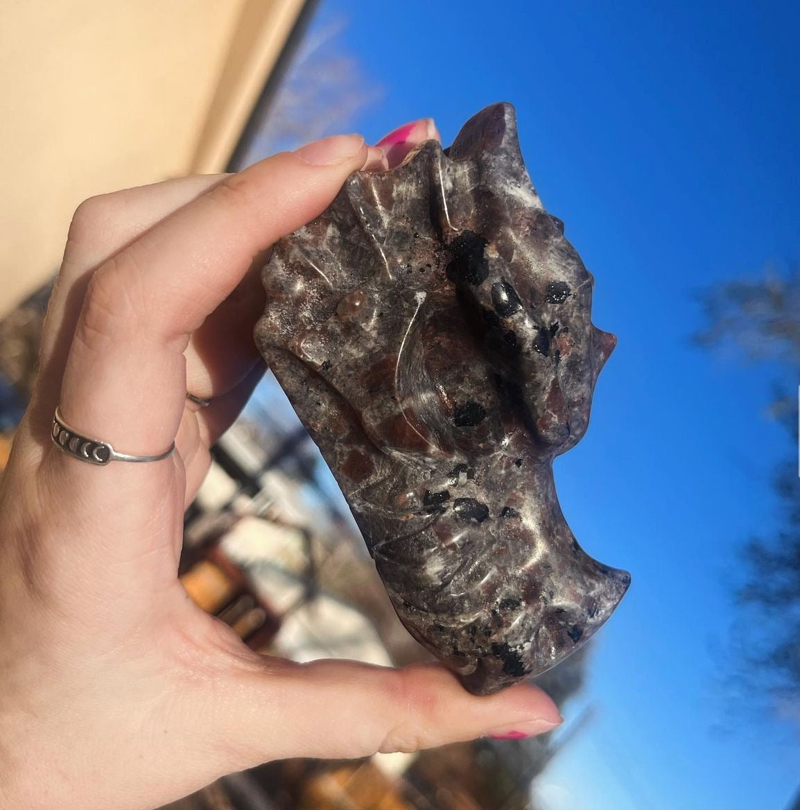 Yooperlite Dragon Head