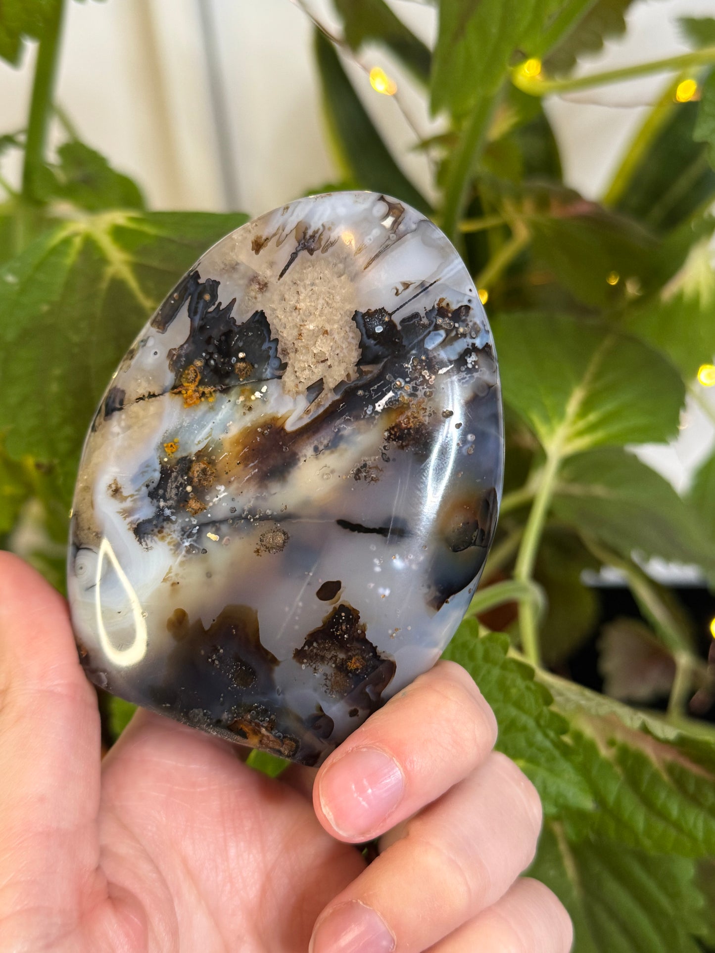 Dendritic Agate Freeform A