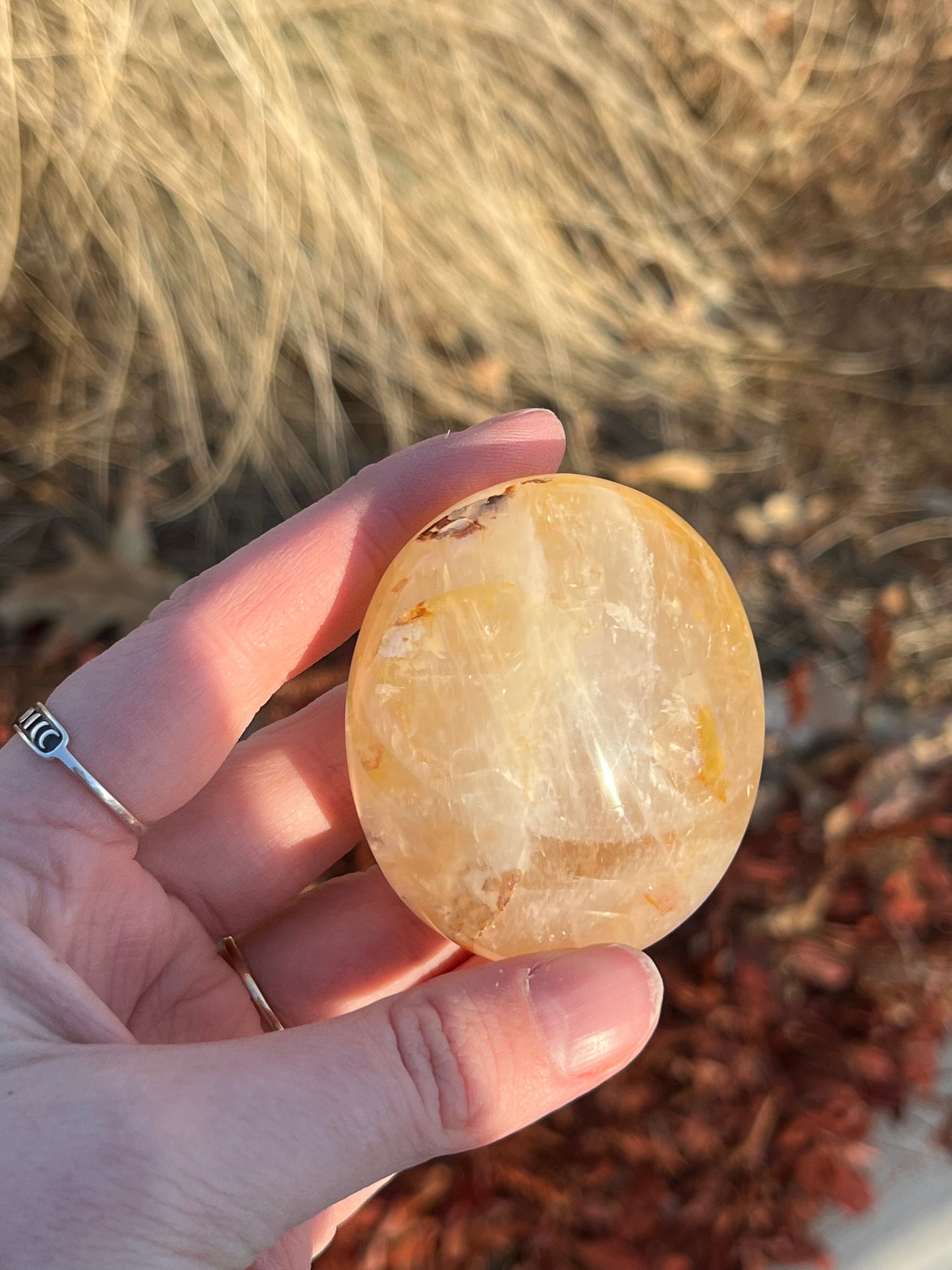 Golden Healer Palm Stone