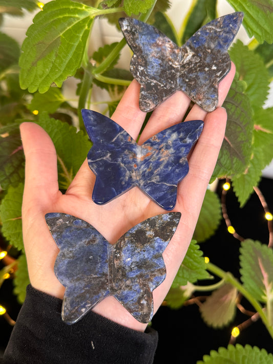 Sodalite 3D Butterfly