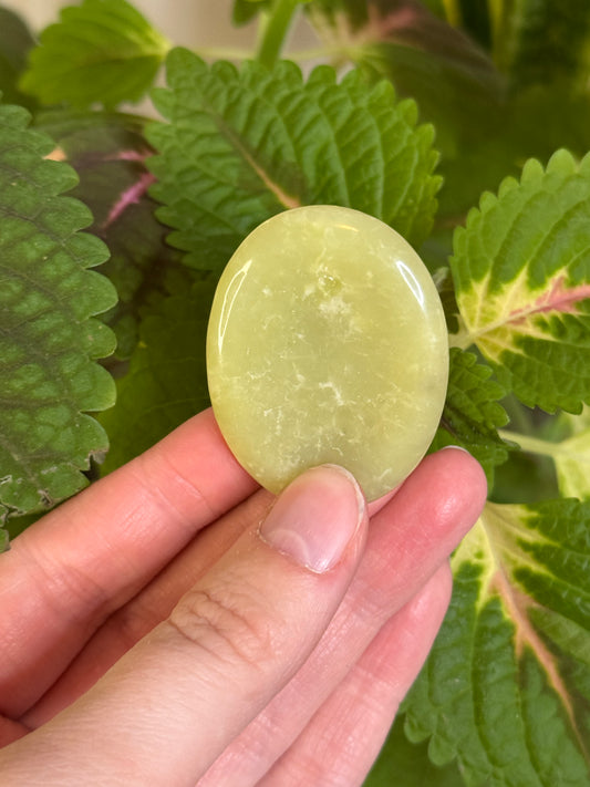 Serpentine Worry Stone