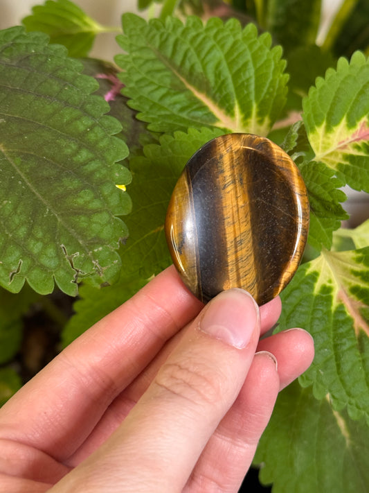 Tigers Eye Worry Stone