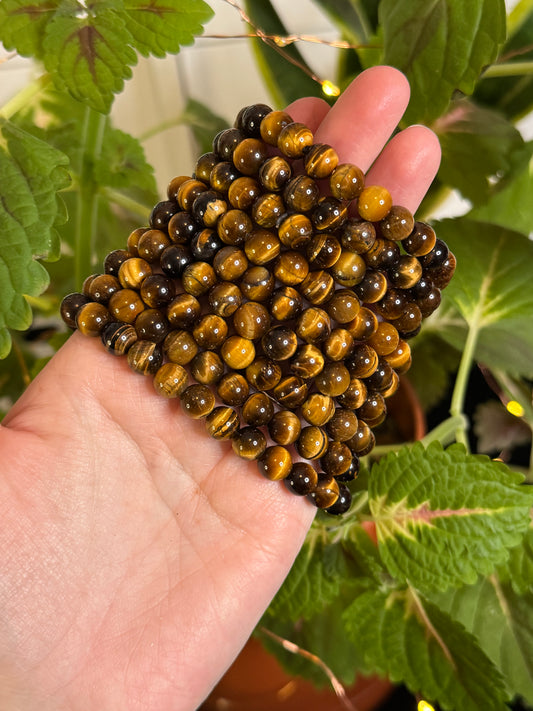 Tigers Eye Bracelet 8mm