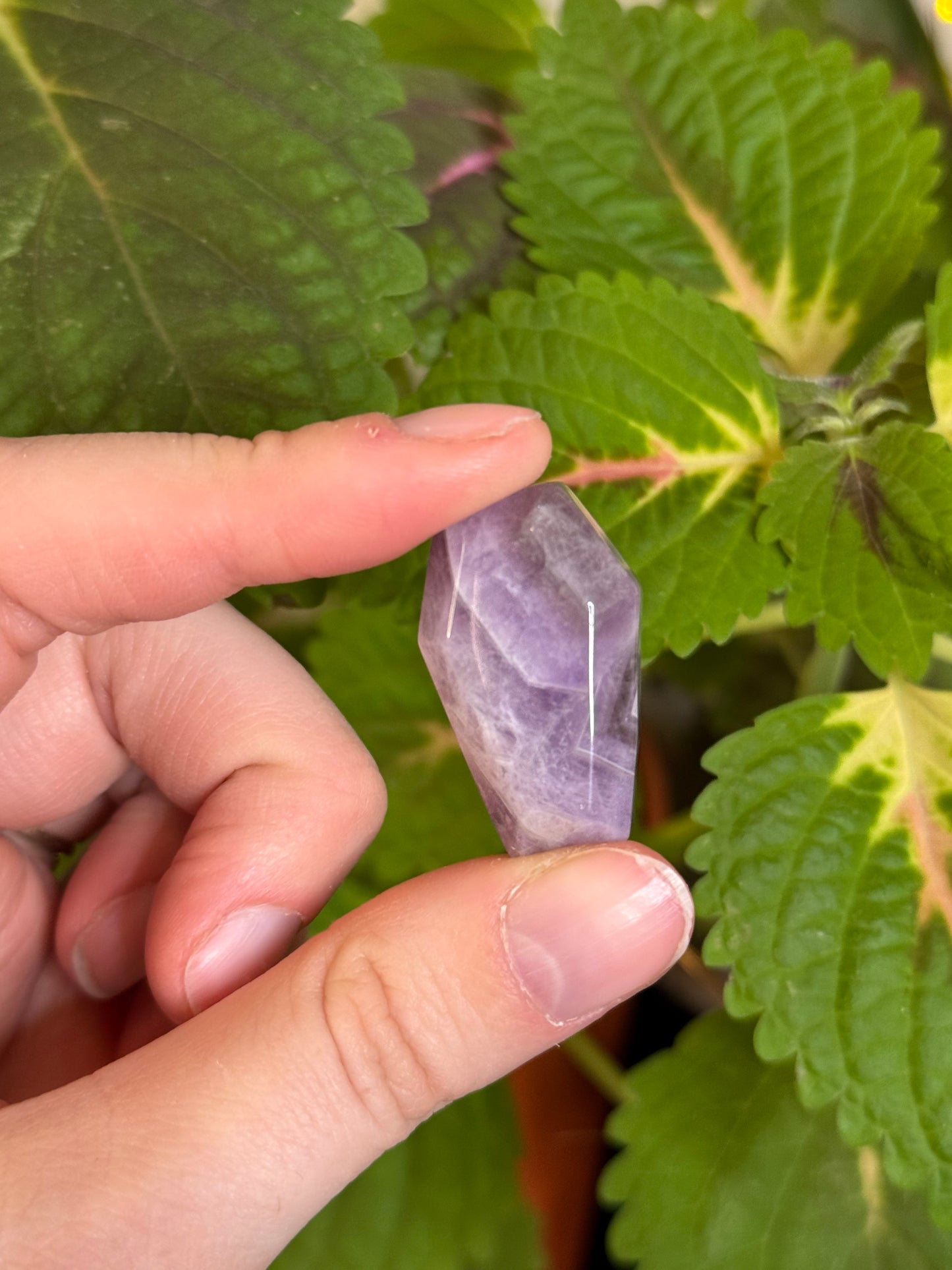 Amethyst Coffin