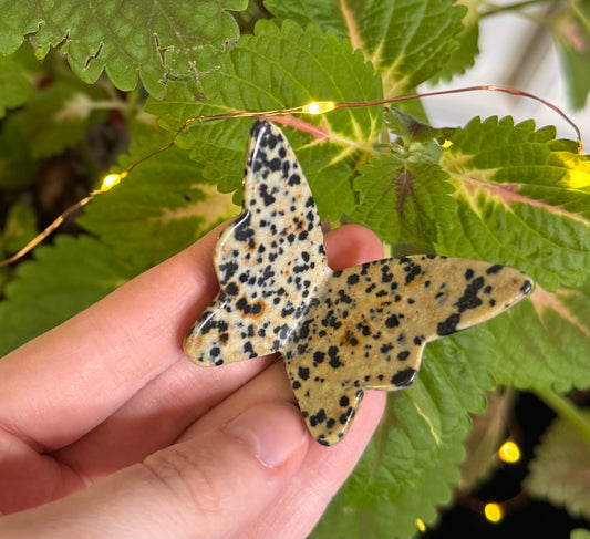 Dalmatian Jasper 3D Butterfly