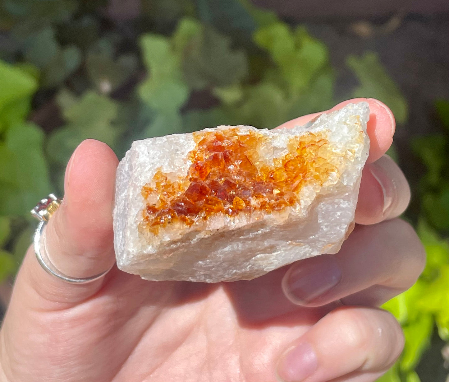 Citrine Cluster C