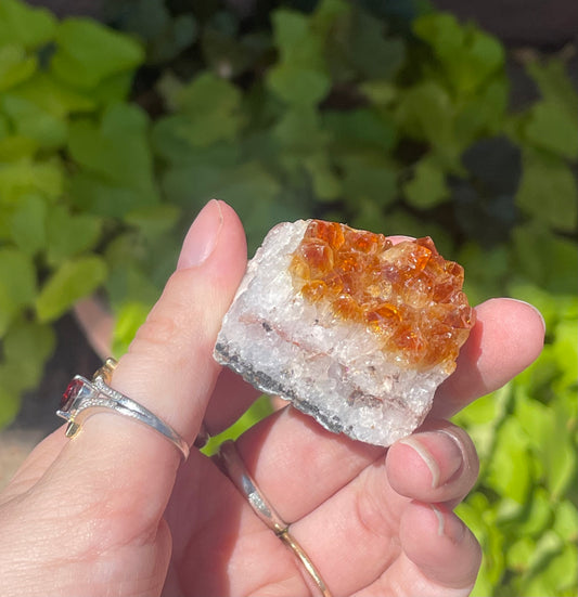 Citrine Cluster D