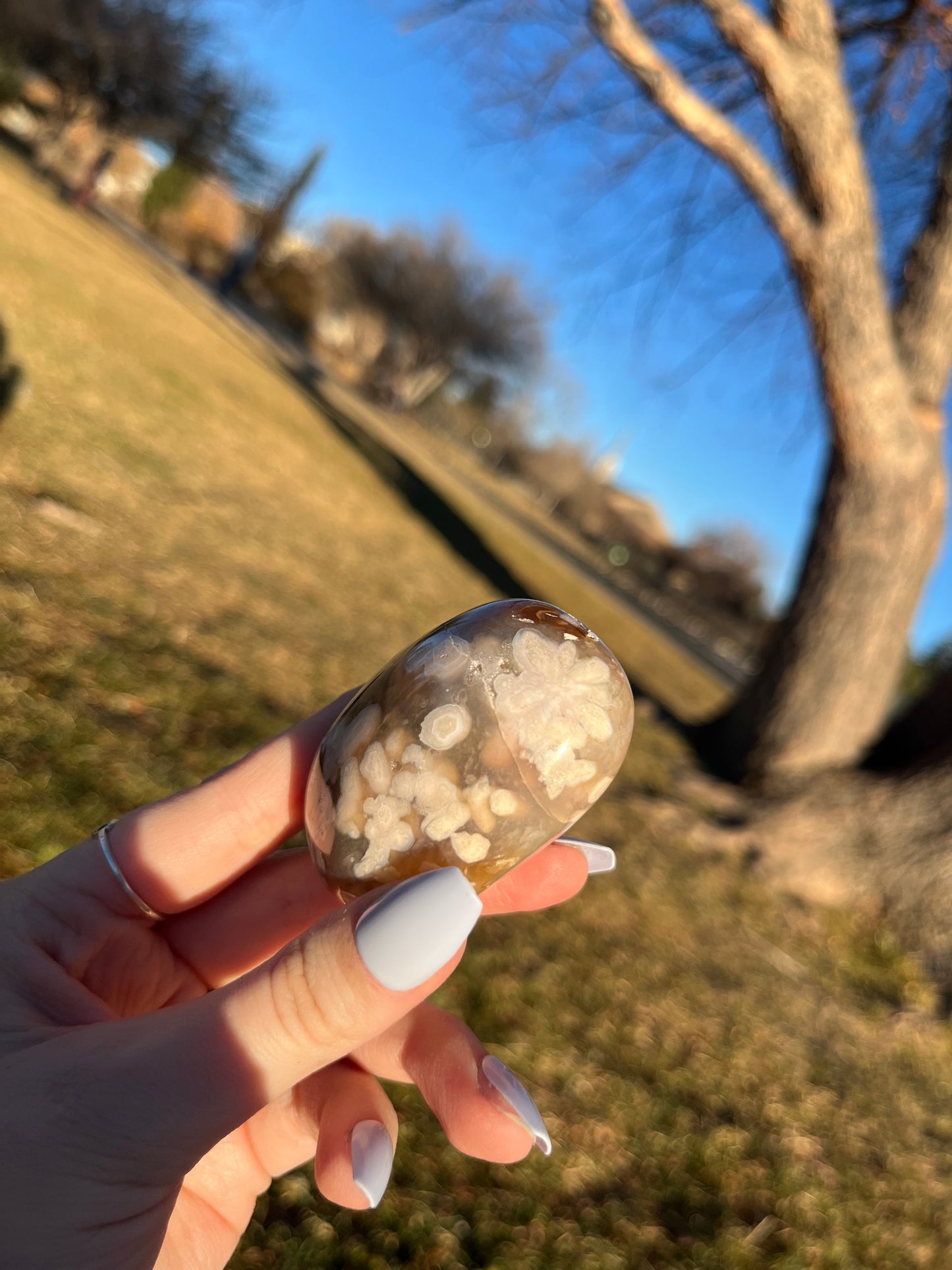 Flower Agate Palm A