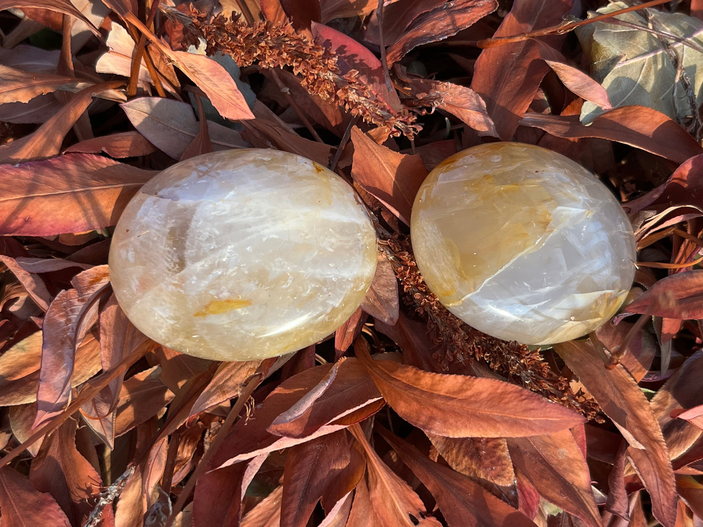 Golden Healer Palm Stone