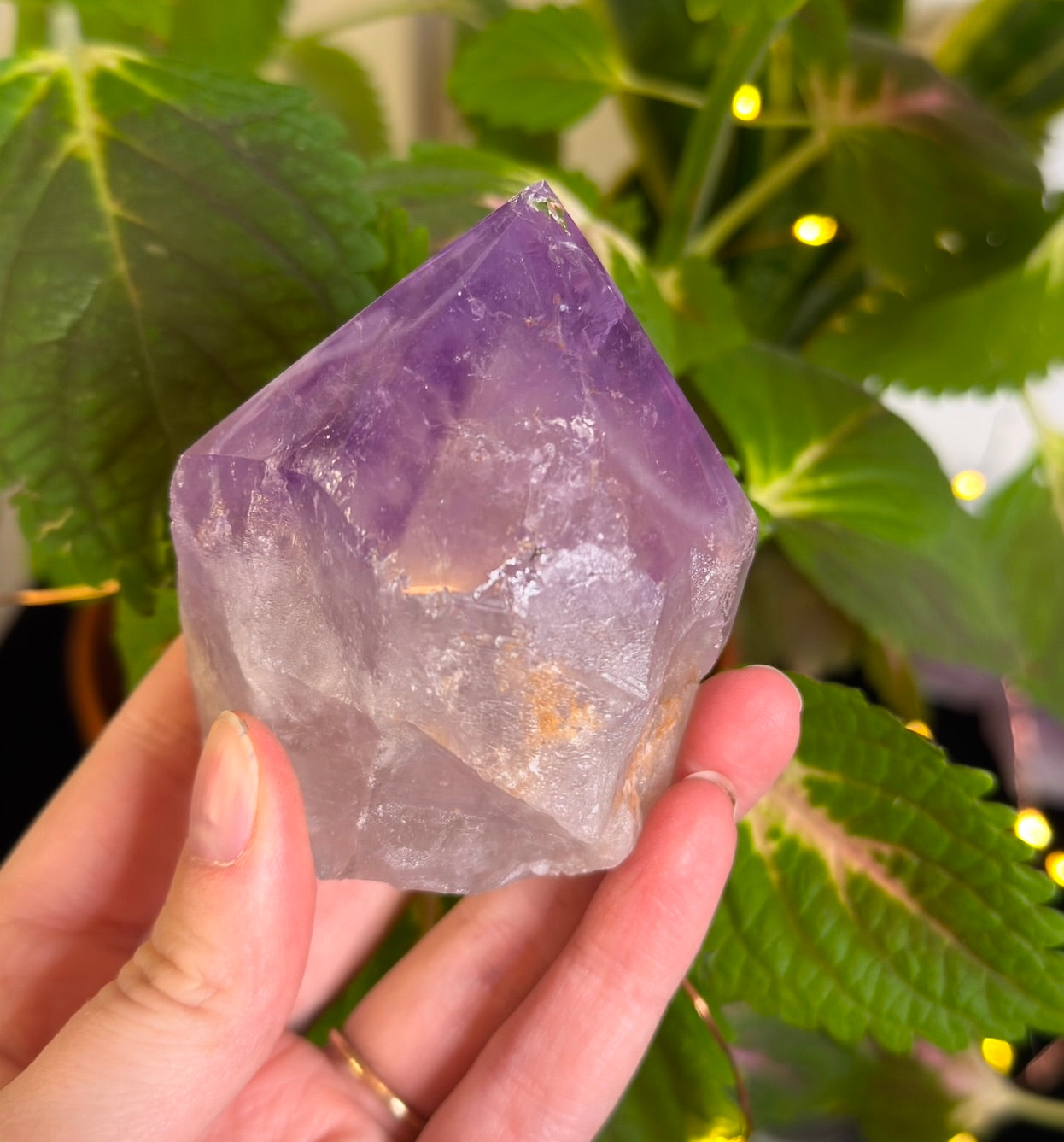 Amethyst Half Polished Point B