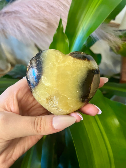 Septarian Heart