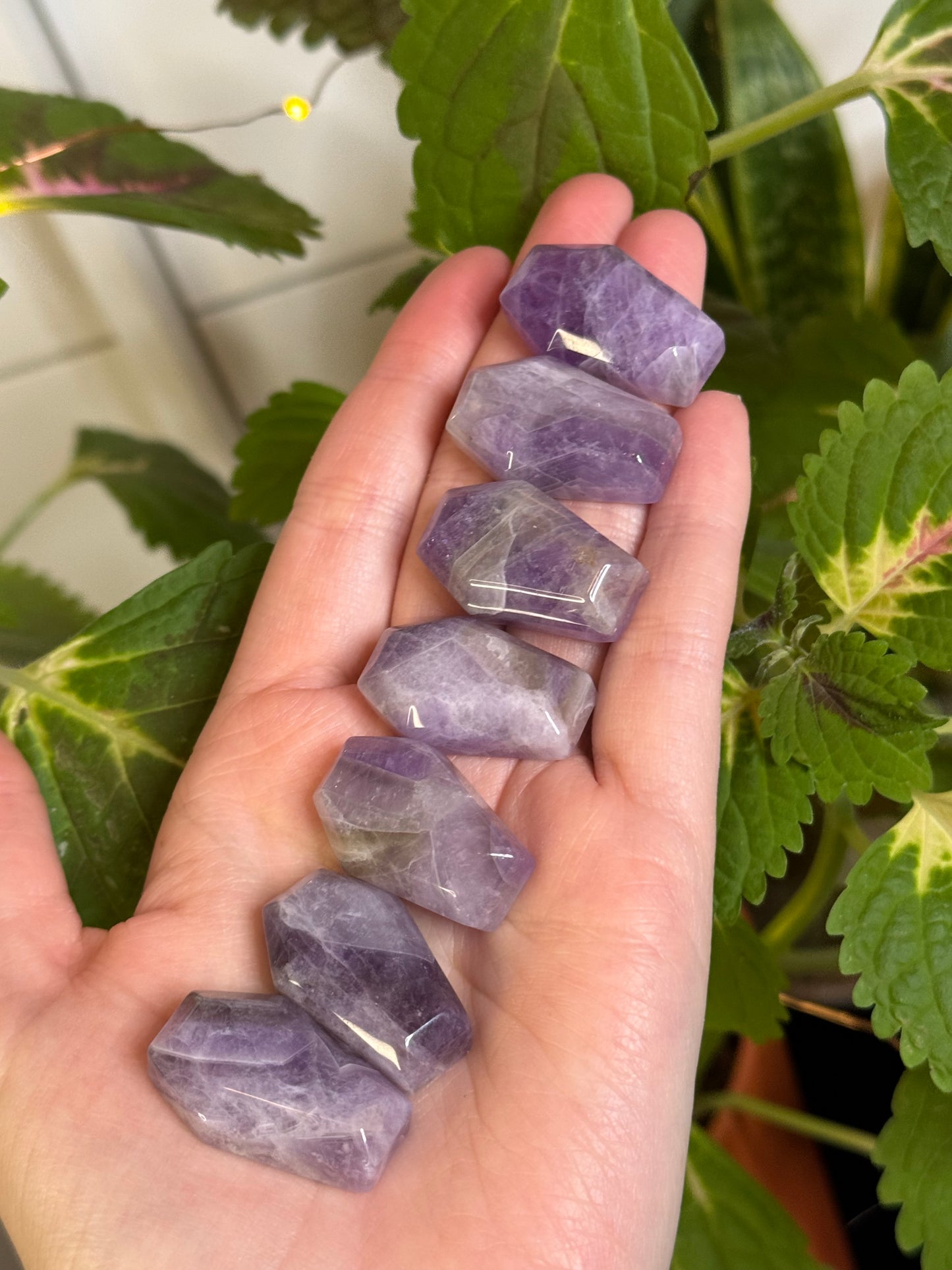 Amethyst Coffin