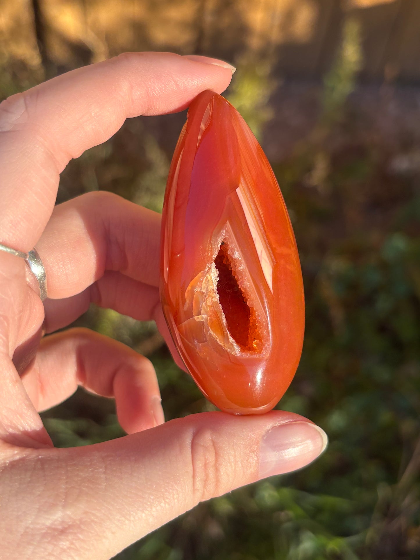 Carnelian Egg C