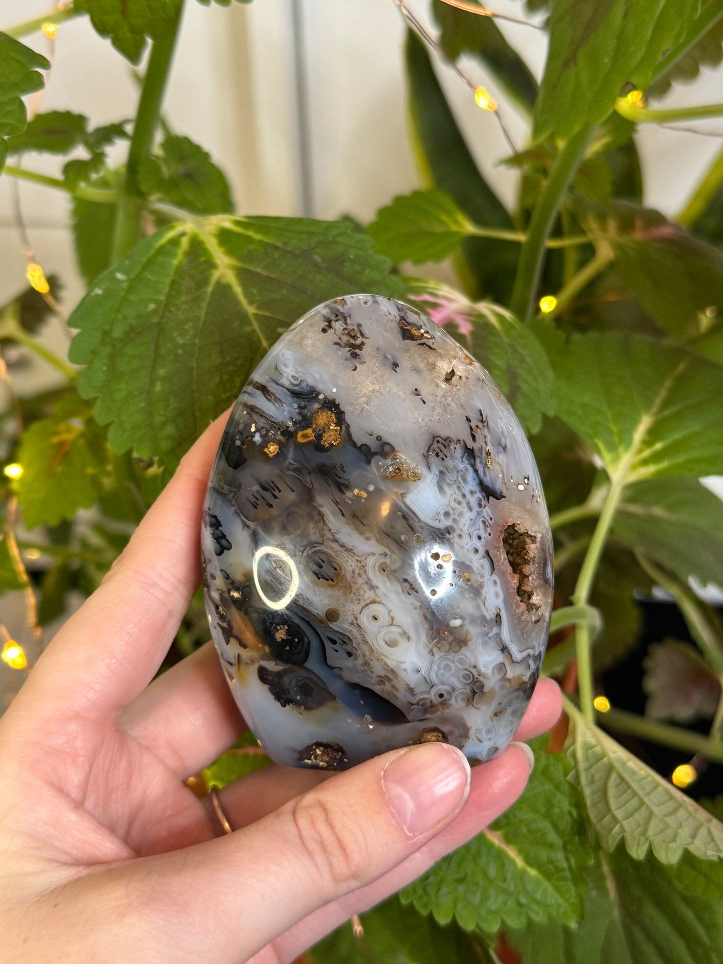 Dendritic Agate Freeform A